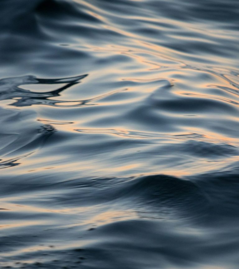 Reveal Signature Identity Eine beruhigende Nahaufnahme von tanzenden Wasserwellen, die sanft das warme Licht des Himmels widerspiegeln.